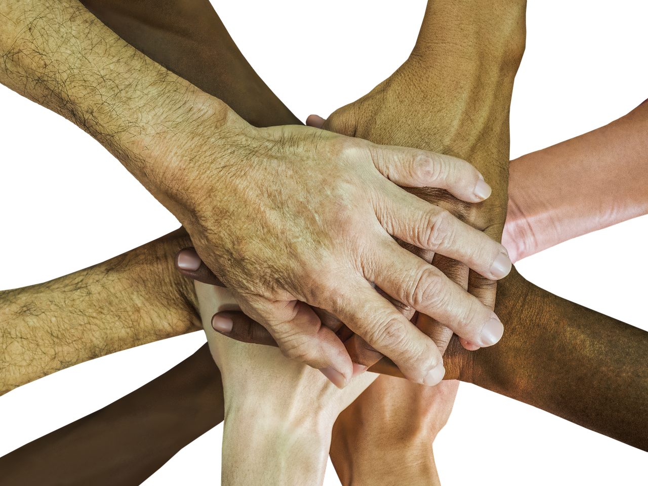 免费DDOS攻击平台|淮南辣椒购买平台