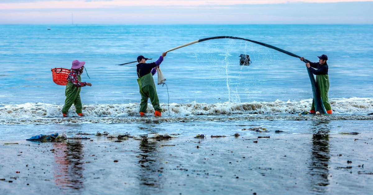 博猫游戏2，注册|大连注册房产中介代理