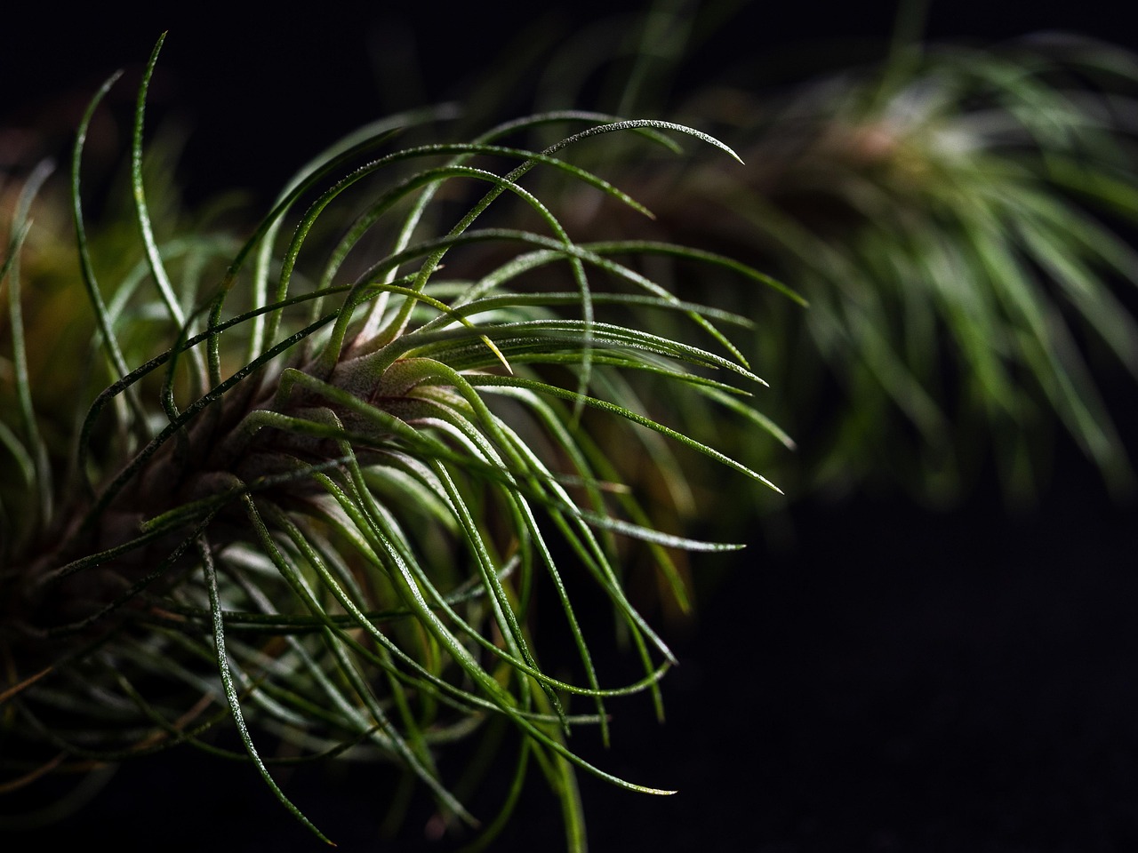 技术支持是如何影响游戏平衡的？