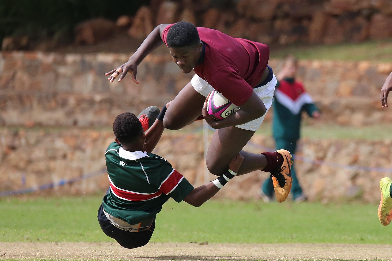 焦点小猪视频app官网详情下载教程企业版