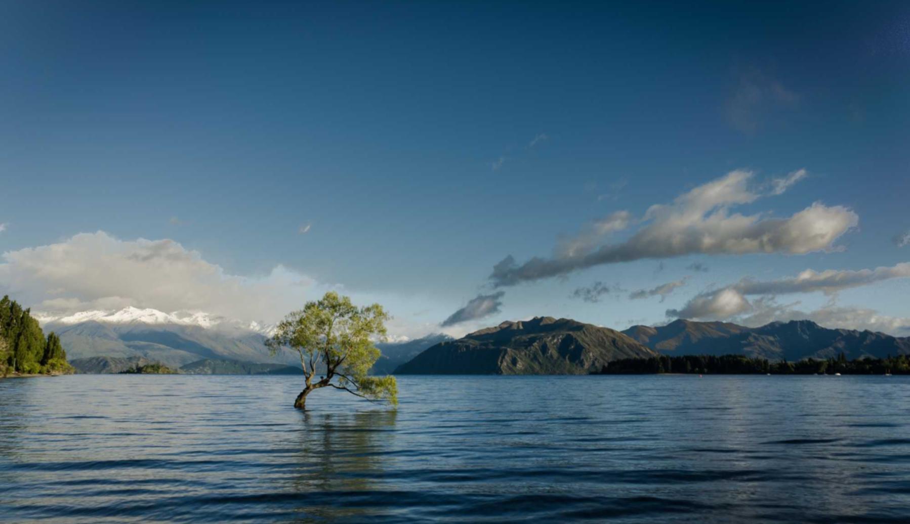 太保e卡实名账号：旧衣回收平台代理