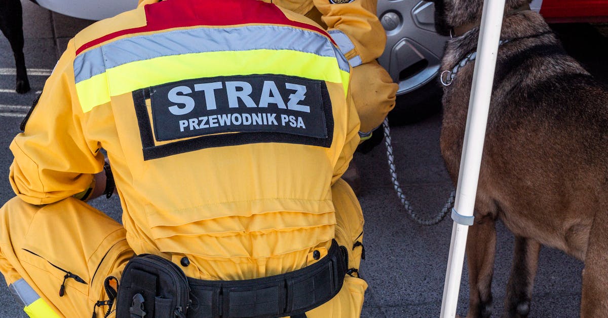 支付宝小号买卖：笔趣阁app官网详情下载教程