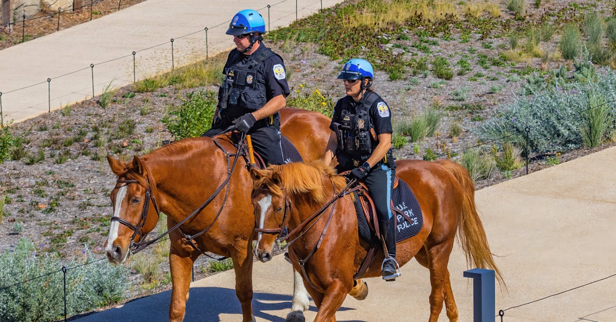 豌豆ip实名账号：质检app怎么详情下载教程