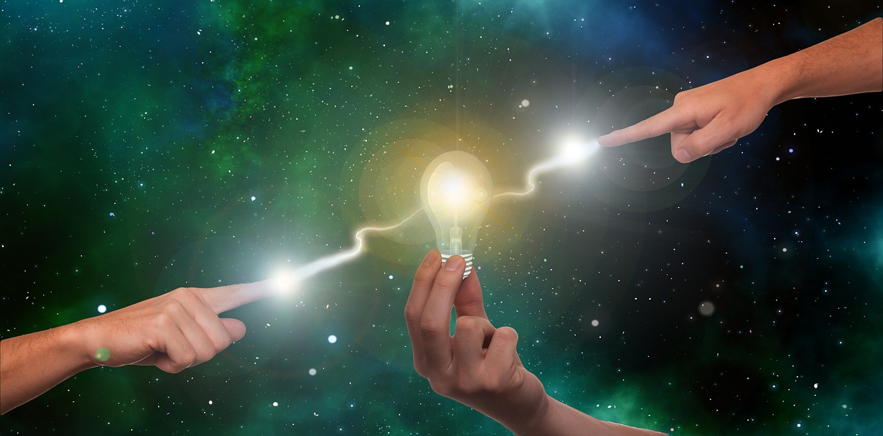 蓝狮在线购买猪皮的平台