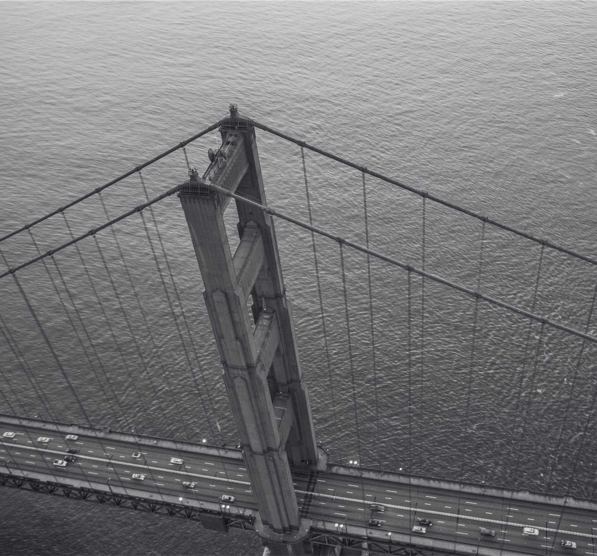 红桃懒猫App详情下载教程