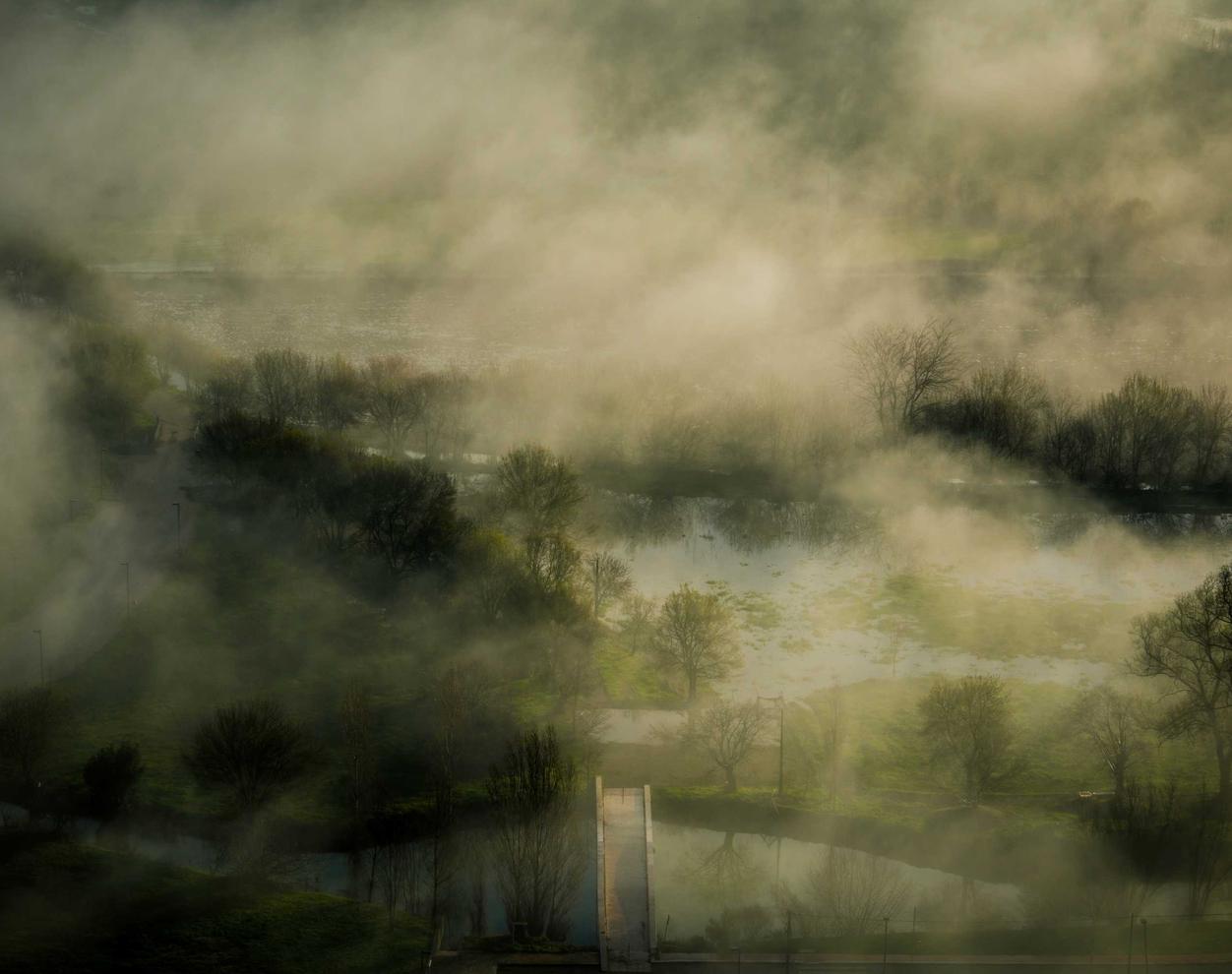 香烟品牌的影响因素
