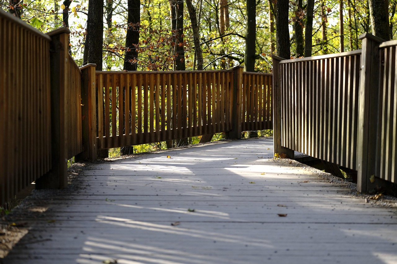 如何通过SEO和社交电商增强产品销售