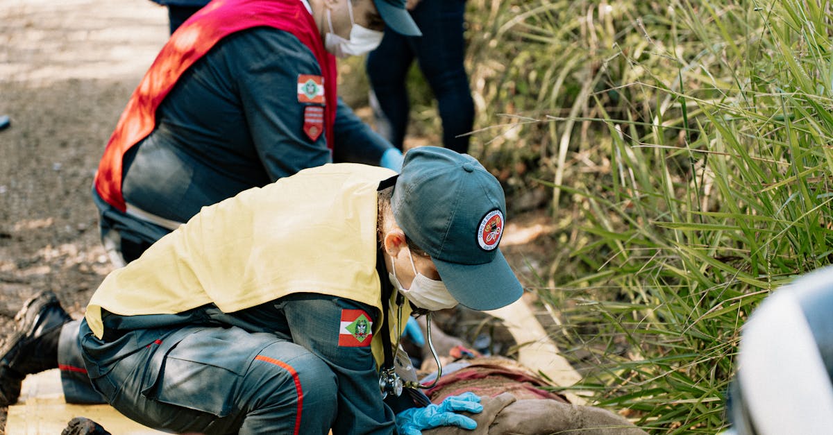263网络通信实名账号：实名制账号：提高网络知识产权保护力度