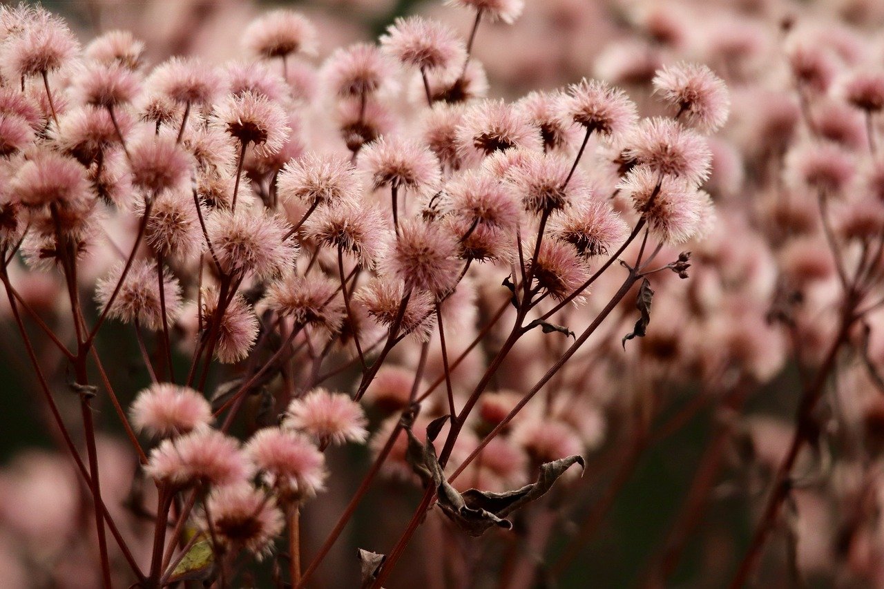 龙武手游辅助- 闵行区代理公司注册多少钱