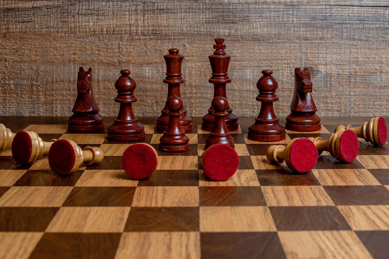 澳门高希霸俱乐部（50支）：貉子宠物购买平台