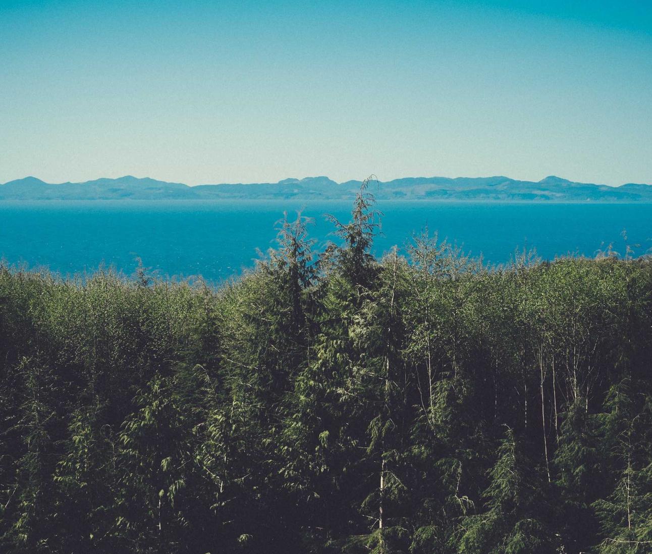 microg app详情下载教程