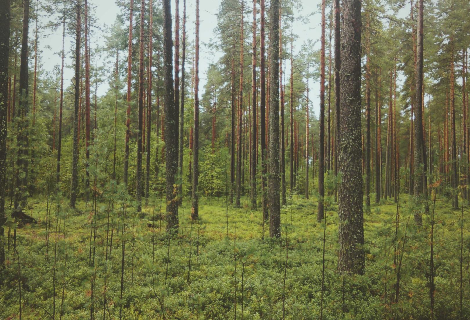 农村合作医疗怎样注册账号