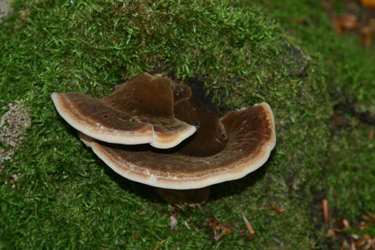 私人vx号买卖:同城公司注册代理